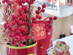 -极光口腔·矫正种植修复(锦江店)