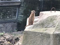 -水绘园