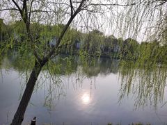 -广富林郊野公园