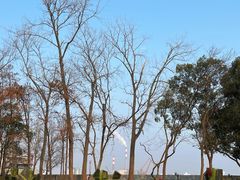 -上海共青森林公园