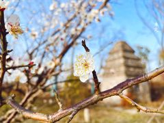 -广富林郊野公园
