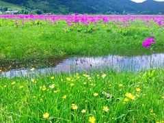 -丽江花间堂·隐泉院