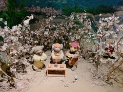 -成都泰迪熊博物馆