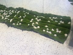 -吴山山·椰子酸奶(天河南店)