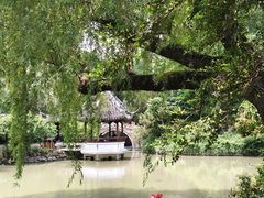 -上海醉白池公园