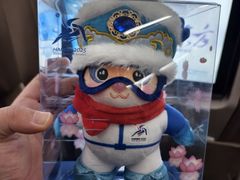 -哈尔滨太平国际机场-T2航站楼