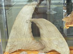 -添發碗仔翅美食