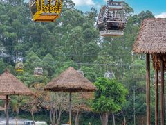 -广州长隆旅游度假区