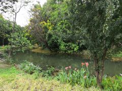 -昆山城市生态森林公园