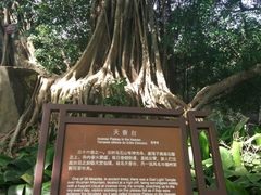 -乌山风景区