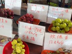 -马陆小张葡萄园农家乐