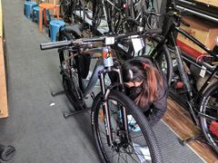 -道路口单车爱瓦士dahon大行