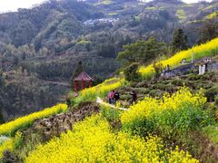 -石潭村