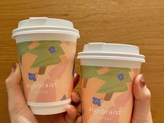 -代数学家algebraist(苏州中心店)