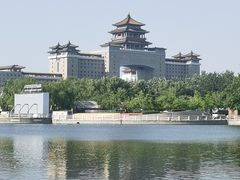 -莲花池公园