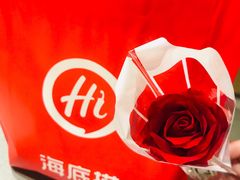 -海底捞火锅(铂澜大象城店)