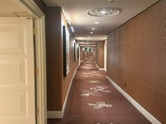 -拉斯维加斯永利酒店