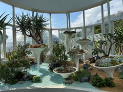 -深圳仙湖植物园