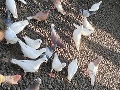 -鼓楼(西湖风景名胜区)