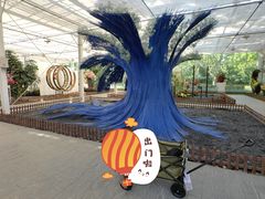 -上海鲜花港