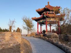 -白水寺森林公园