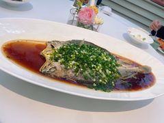 -西郊5号·Maggie 5
