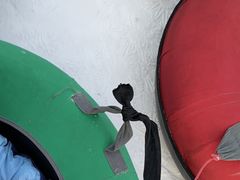 -呼兰河口湿地公园