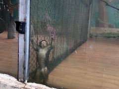 -乐和乐都主题乐园