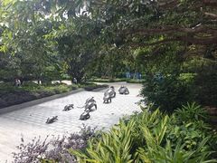 -广东惠东海龟国家级自然保护区