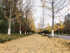 -浙江农林大学(东湖校区)