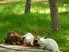 -大兴滨河森林公园