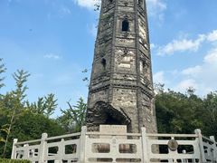 -上海佘山国家森林公园天马山园