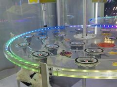 -大玩家(万达广场大连甘井子店)