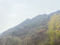 -抱龙峪