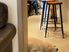 -PAUSE CAFE(南秀村店)