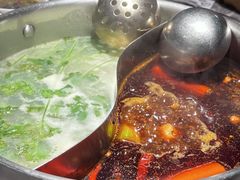 -禄婶鸡煲·打边炉