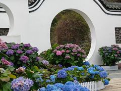 -傑·料理·海鲜放题(佛山文华荟店)