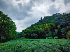 -杭州西湖风景名胜区-三生石