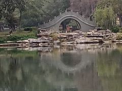 -四海公园(南山区)