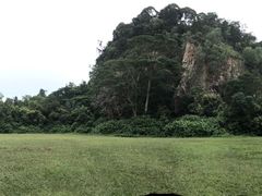 -武吉知马自然保护区