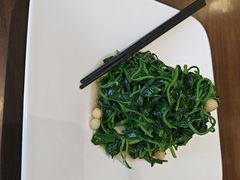 -九福楼大酒店