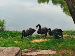 -长春市南湖公园