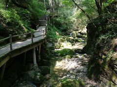 -牛背梁国家森林公园