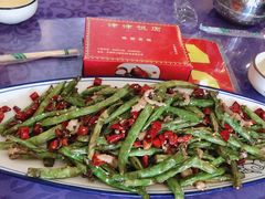 -津津乐乐