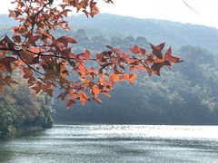 -广州市白云山风景名胜区