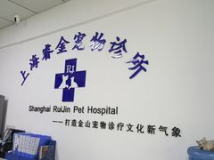 -睿金宠物医院·CT·肿瘤·骨外科