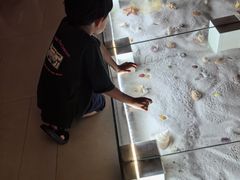 -青岛贝壳博物馆
