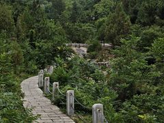 -涂山风景区