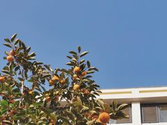 -大连外国语大学(旅顺校区)