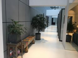 -无界瑜伽普拉提